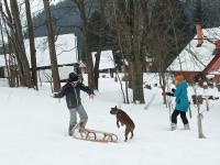 IMG_20210130_141229.jpg