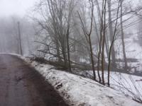 IMG_20210205_163556.jpg