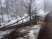 IMG_20210205_163624.jpg