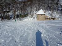 IMG_20210212_114815.jpg