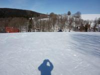 IMG_20210220_110159.jpg
