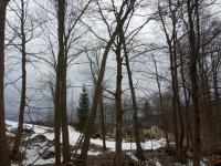 IMG_20210313_083749.jpg