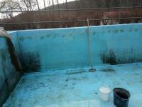 IMG_20210410_182440.jpg