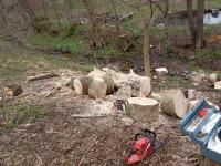 IMG_20210501_113620.jpg