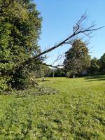 IMG_20211009_140711.jpg
