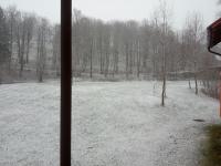 IMG_20211126_134116.jpg
