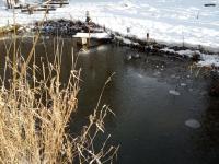 IMG_20211208_140423.jpg
