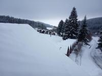 IMG_20211211_080244.jpg
