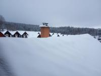 IMG_20211211_080255.jpg