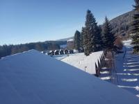 IMG_20211222_114528.jpg