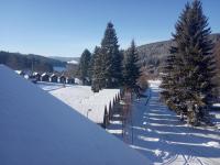 IMG_20211222_114545.jpg