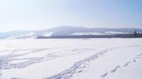 DSC07022.JPG