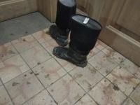 IMG_20230409_002933.jpg