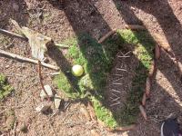 IMG-20230821-WA0007.jpg