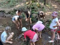 IMG-20230822-WA0026.jpg
