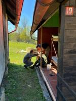 IMG_2672.JPG