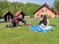 IMG_20240510_151618.jpg