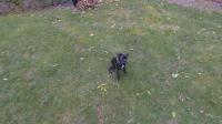 dji_0019_optimized.jpg