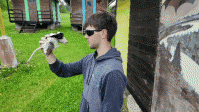 Mison.gif