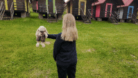 tkacko.gif