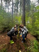 606f478a-010e-4e2c-be03-05114e049a39_v1.jpeg