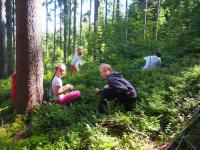 P8057097_v1.JPG