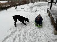 IMG_9749.jpeg